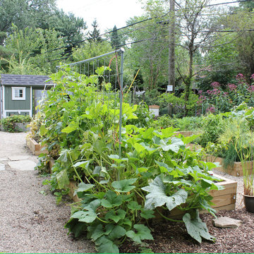 'Agrarian Quarter' - urban vegetable garden...phased evolution