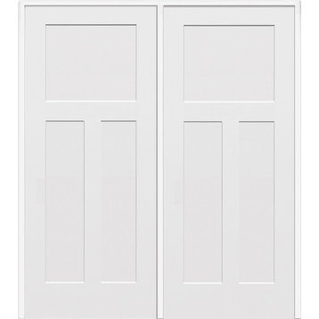 Panel Interior Doors 3-Panel  62"x81.75" Left Hand In-Swing