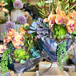 Our Showroom - Plants