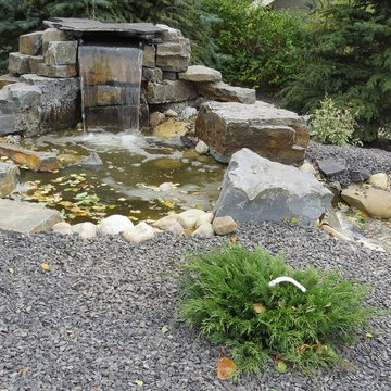 Backyard Renovation