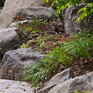 Bolder Boulders