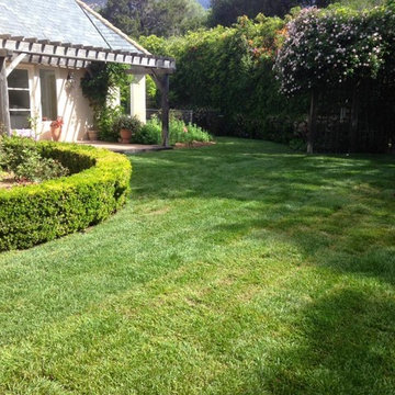 Santa barbara Shrub care Maintenance company