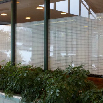 Decorative Window Films
