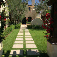 Landscape Ideas