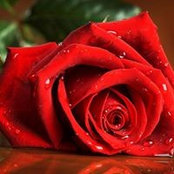 Foto de Amjad Amjad
