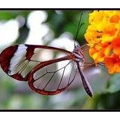 Doris Cheng's photo