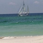 Mary Lewis's photo