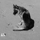 Renee Perchard's photo
