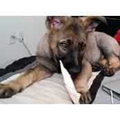 Sean McGrath's photo