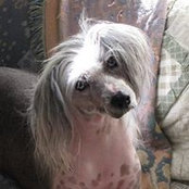 Mary Ann Karasevich-Moran's photo