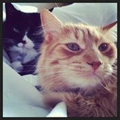 Nick Boileau's photo
