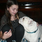 Noel Willi's photo