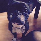 Claire Bastien's photo