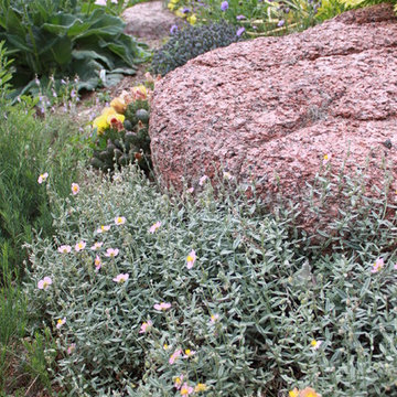 Fun, Flowers, & Food at El Rancho Calypso