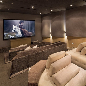 Home Audio Theaters