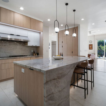Full remodel and addition 3500 sqft