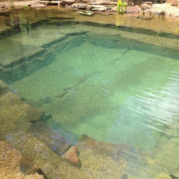 All Natural Swim Pond