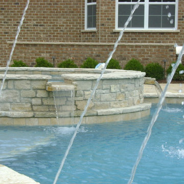 Free Form Pool in Lincolnshire, IL