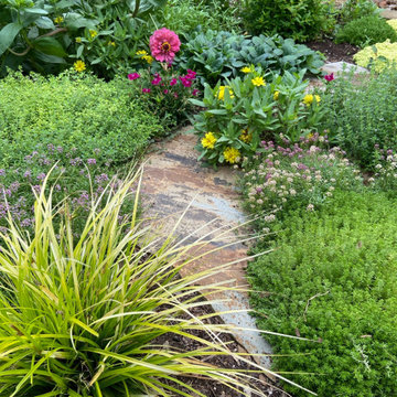 Garden Compositions