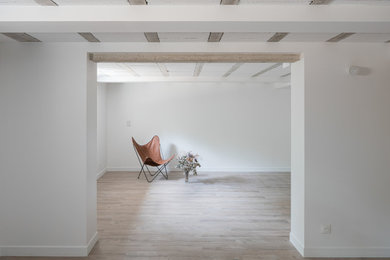 Idées déco pour un sous-sol semi-enterré avec salle de cinéma, un mur blanc et parquet clair.