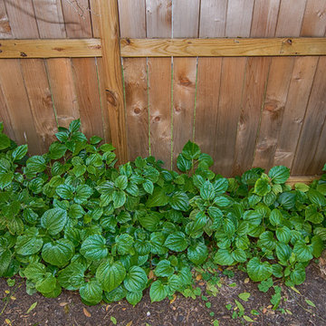 Front Garden, Courtyard and Patio