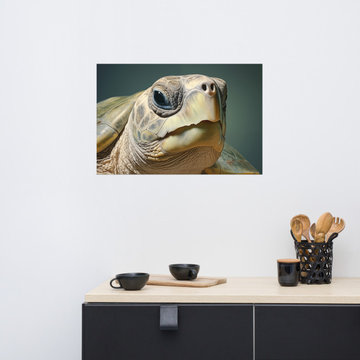 Sea Turtle Art: Albino Enchantment Kemps Ridley Coastal Photorealism Painting