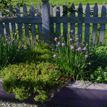 herb gardens