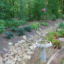 Dry Creek Bed Ideas