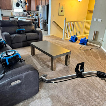 Reliable Carpet Cleaning in Aurora, CO | Local Experts