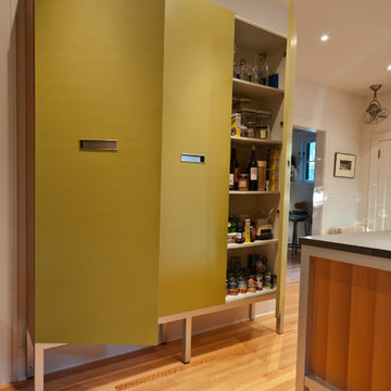 A Modern Contemporary Kitchen Renovation