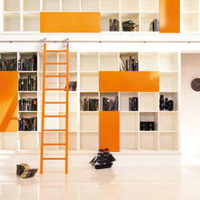 Library Ladder