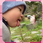 傅淑卿s foto