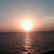 Dino Catenacci's photo
