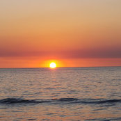 Terri Lehman's photo