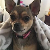 Patricia Smith's photo