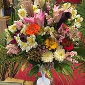 Marijim Reeves's photo