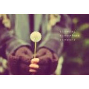 Pham Quyen's photo