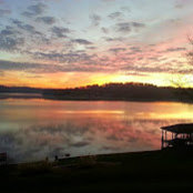 Carolyn McDonald's photo