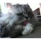 Noha Moussa's photo