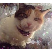 Lindsey Miller's photo