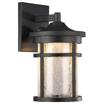 Frontier Transitional LED Textured Outdoor Wall Sconce, Black, 11" Height