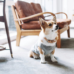 シック＆シンプルな犬用品 - 犬用品