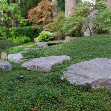 Moss gardens