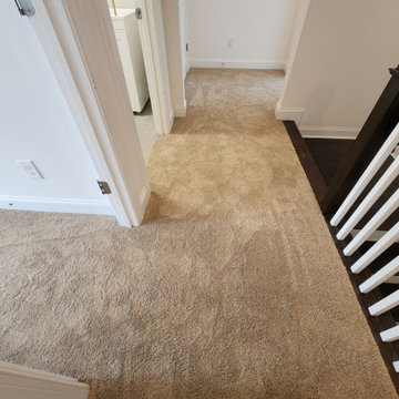 Residential Carpet Installation