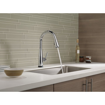 Delta Essa Single Handle Pull-Down Kitchen Faucet With Touch2O Technology, Polis