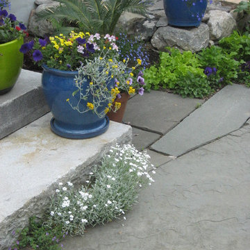 Martha's Garden