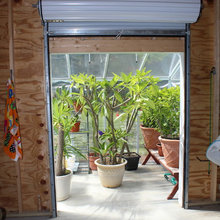Greenhouse Shed