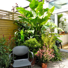 Garden: Patio Design