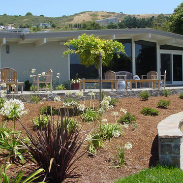 Tiburon Retreat