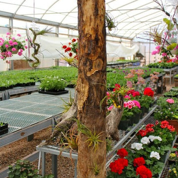 Interior and Exterior Plantscape Projects